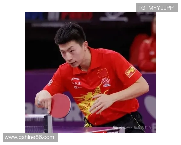 乒乓球传奇杨磊的职业生涯与心路历程深度对话