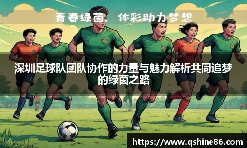 深圳足球队团队协作的力量与魅力解析共同追梦的绿茵之路