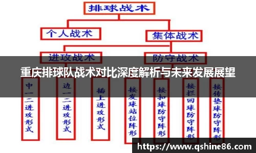 重庆排球队战术对比深度解析与未来发展展望